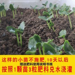 蔬菜復合肥盆栽花卉通用型氮磷鉀肥料種菜蔬菜專用肥水溶復合肥