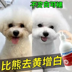沐浴露比熊白毛狗狗專用去污美白去黃去淚痕殺菌除臭驅(qū)蟲(chóng)寵物香波