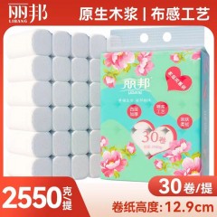 麗邦衛(wèi)生紙批發(fā)家用卷紙巾木漿廁紙婦嬰紙手紙無芯卷筒紙大卷紙